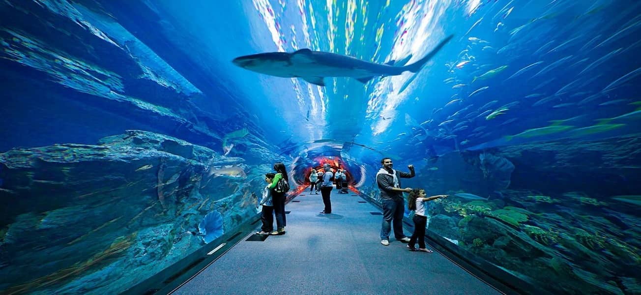 Atlantis Water Park Amazing Fun Slides Rides 250 AED
