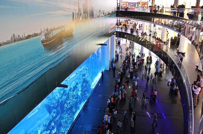 Dubai Aquarium and Underwater Zoo