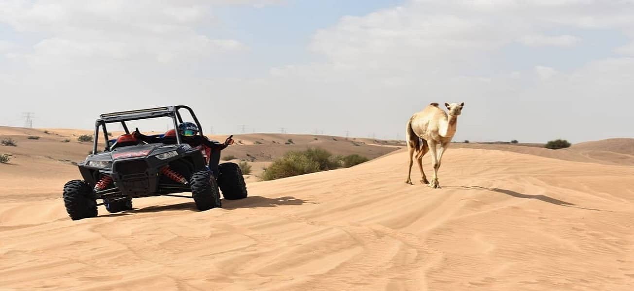 Dune Buggy Dubai Buggy Rents