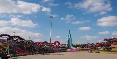 Dubai Miracle Garden - Journey Via Floral Wonderland