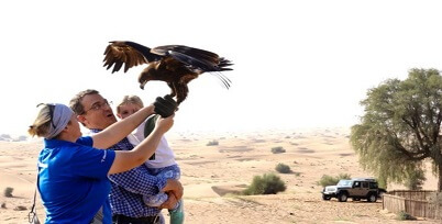 Kalba Bird of Prey Centre Sharjah