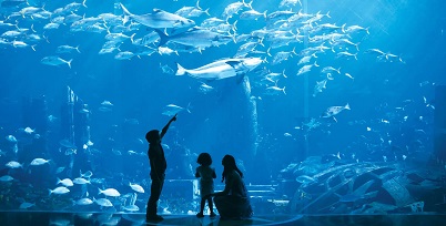 Lost Chamber Aquarium Dubai